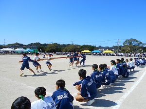 2023体育祭2年男子 (4)