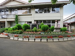 校舎前の花壇