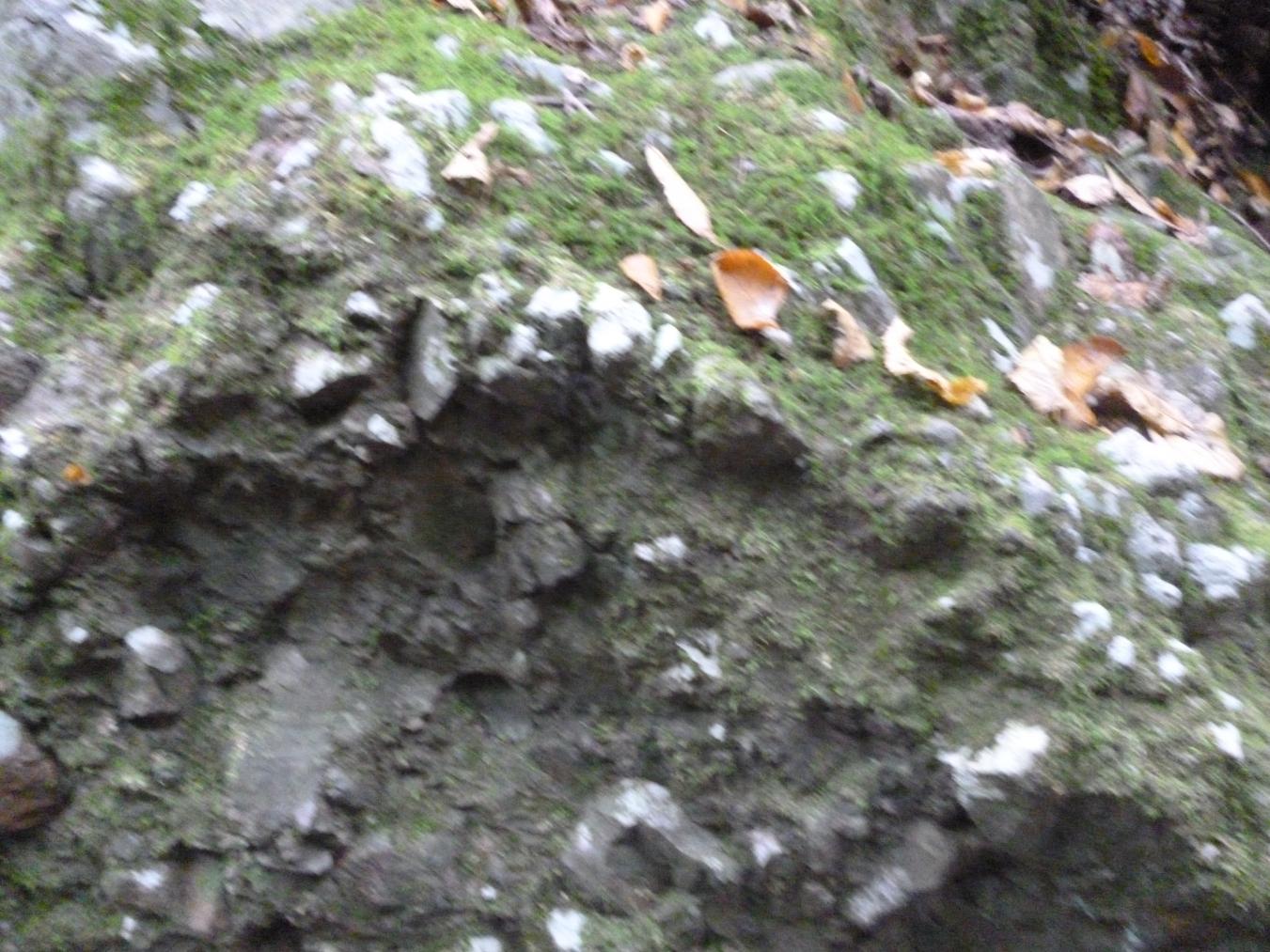 礫岩