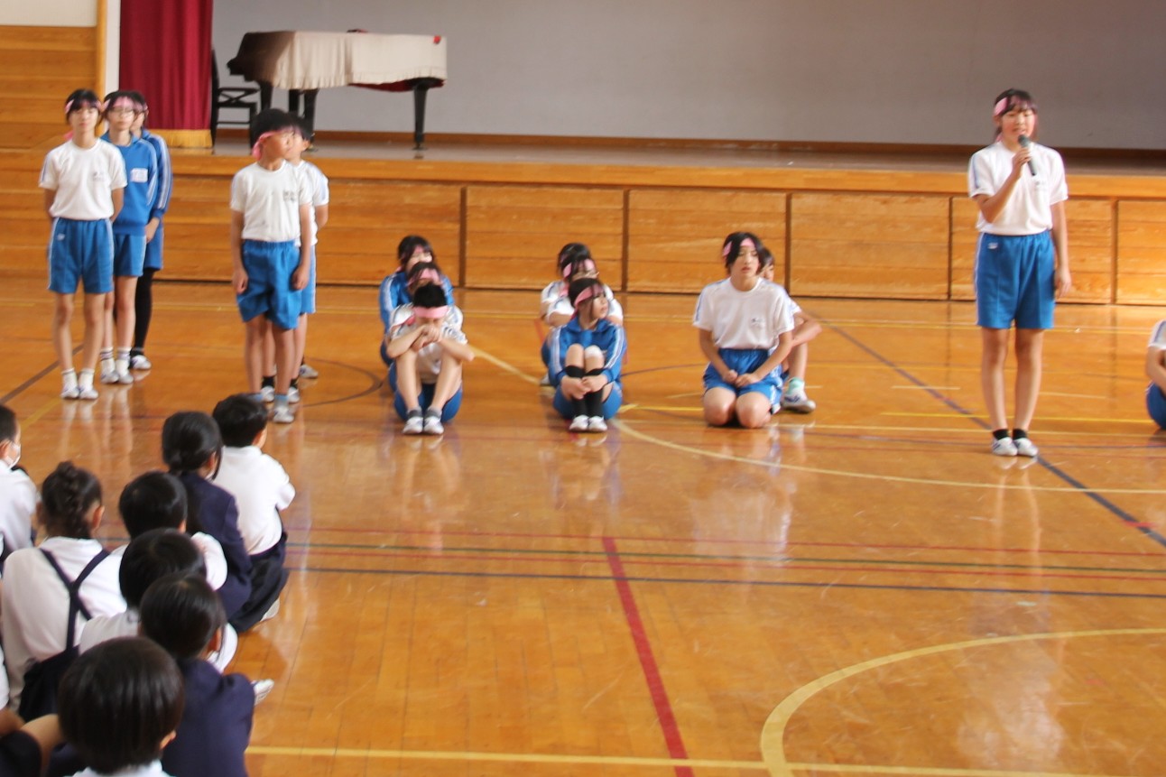 IMG_6890 IMG_6890