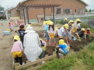 幼稚園の畑を耕す