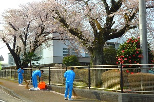 桜の花びらを集める内原中生