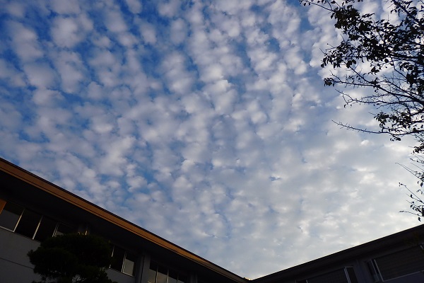 2018年9月14日金曜日の放課後の空ウロコ雲