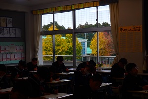 教室の窓から見える銀杏の木