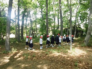 2年生が1年生をつれて学校林を案内している様子