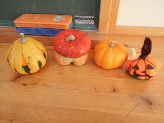子どもたちが持ってきたかぼちゃと裁縫で作ったかぼちゃ