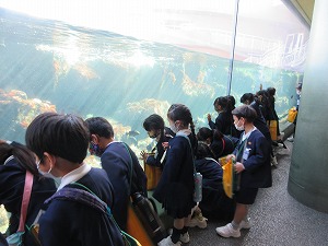 水族館(1)