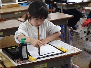 P5011039 P5011039