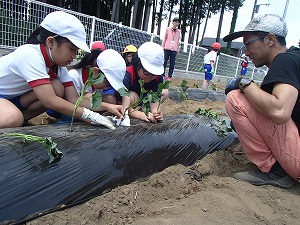 P5131113