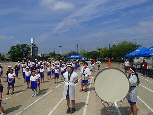 P5201135 P5201135
