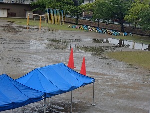 P5211149 P5211149