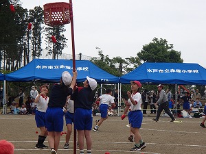 P5241169 P5241169