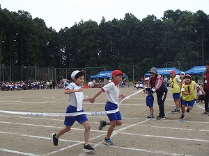 P5241173 P5241173