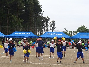 P5241182 P5241182