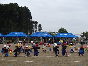P5241184