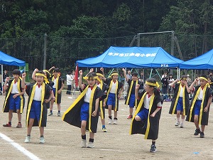 P5241190 P5241190