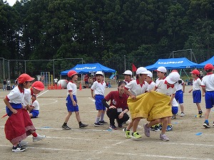 P5241206 P5241206