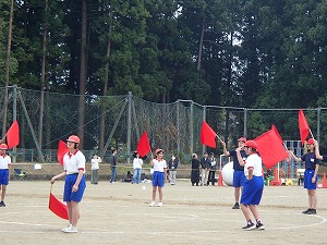 P5241213 P5241213