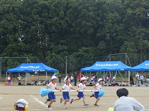 P5241216
