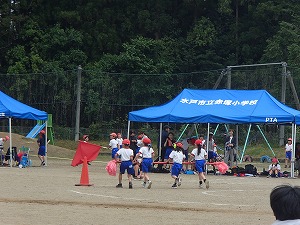 P5241217 P5241217