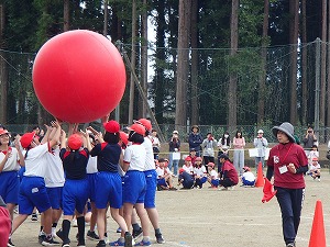 P5241223 P5241223