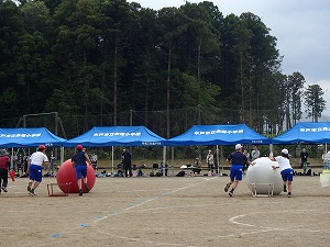 P5241224