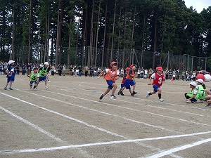 P5241226 P5241226