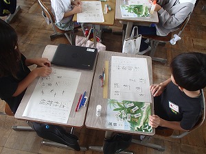 P9151746
