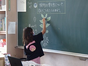 P9171773
