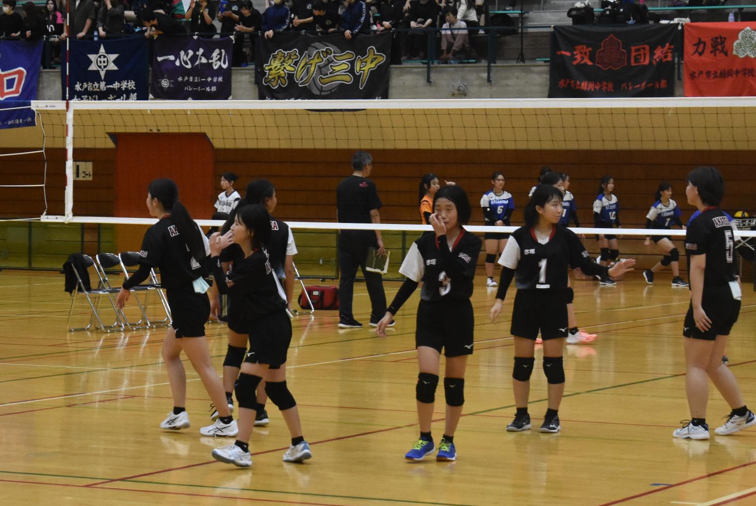 DSC_0256 DSC_0256