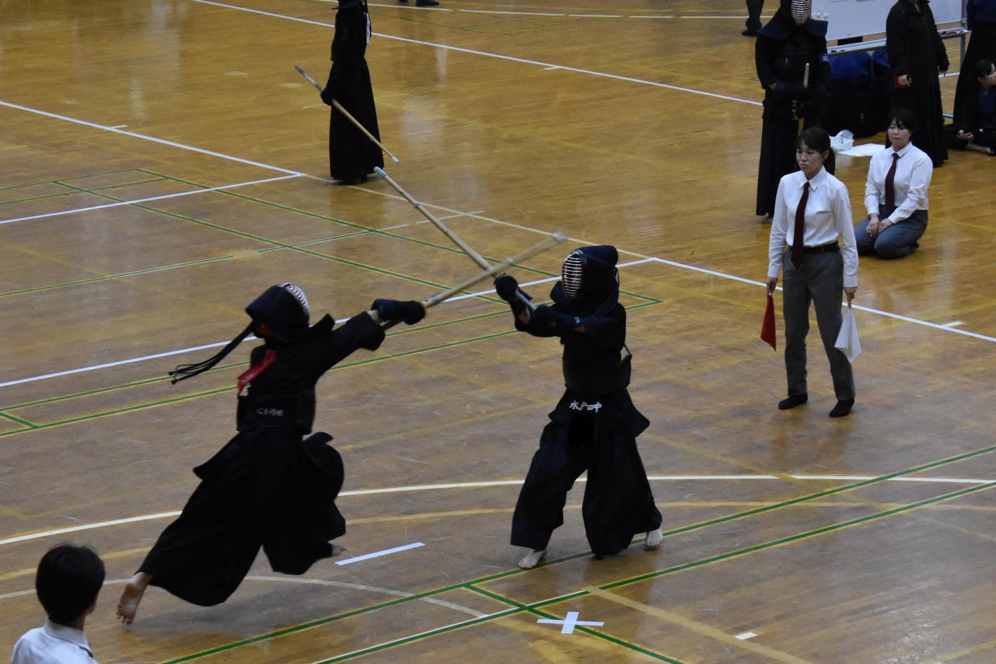 DSC_0556 DSC_0556