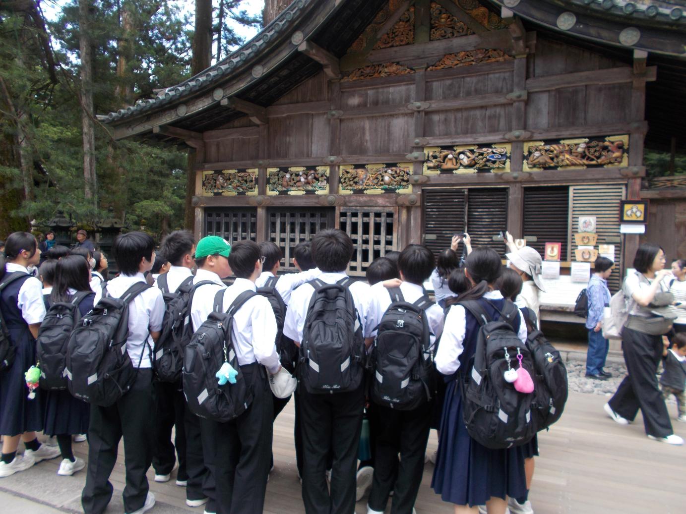 DSCN5271 DSCN5271