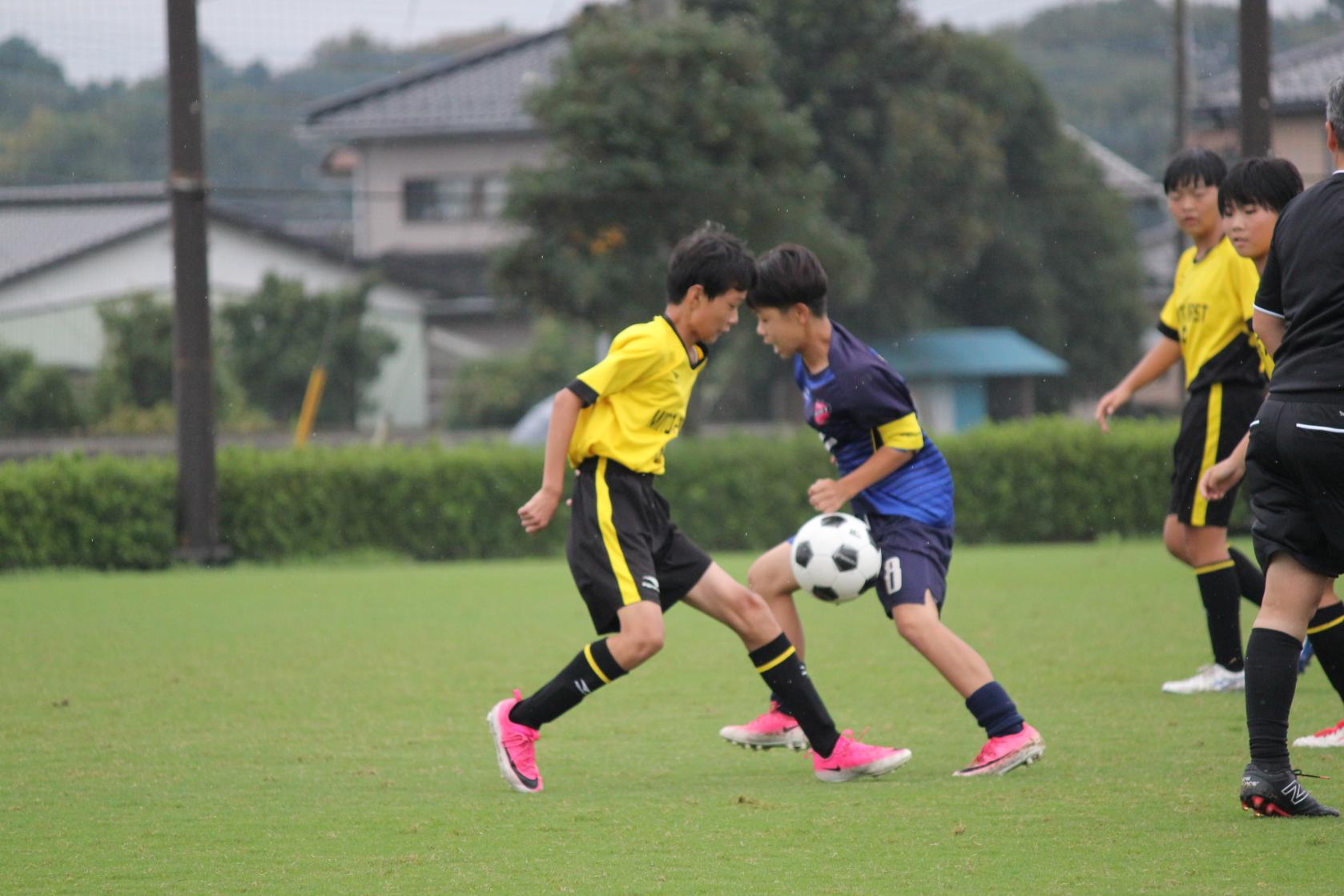 IMG_9612 IMG_9612