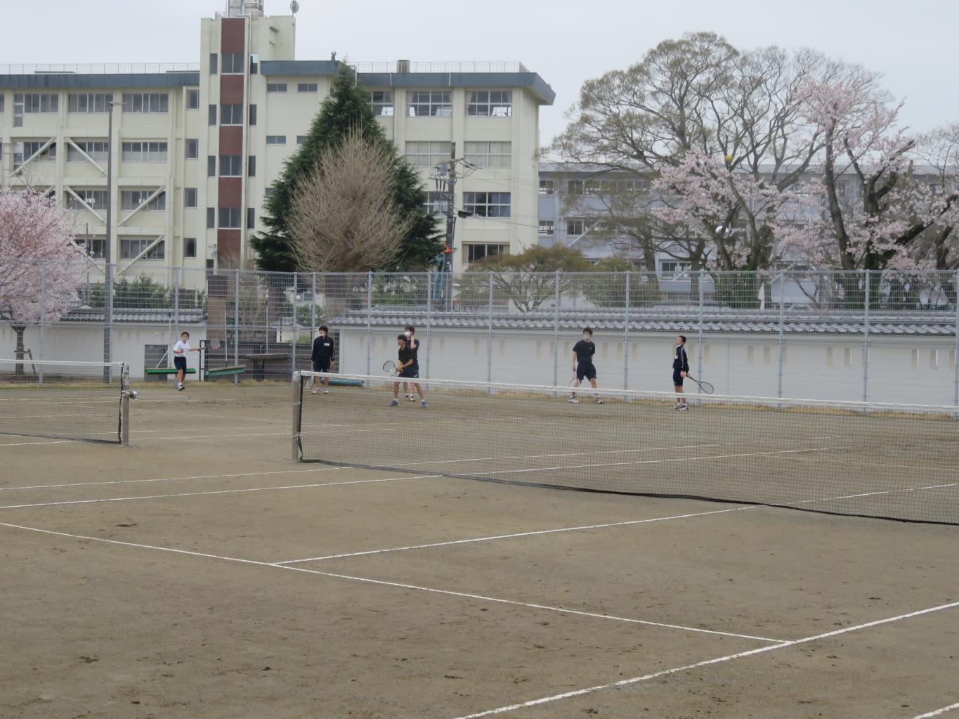 IMG_2563 IMG_2563
