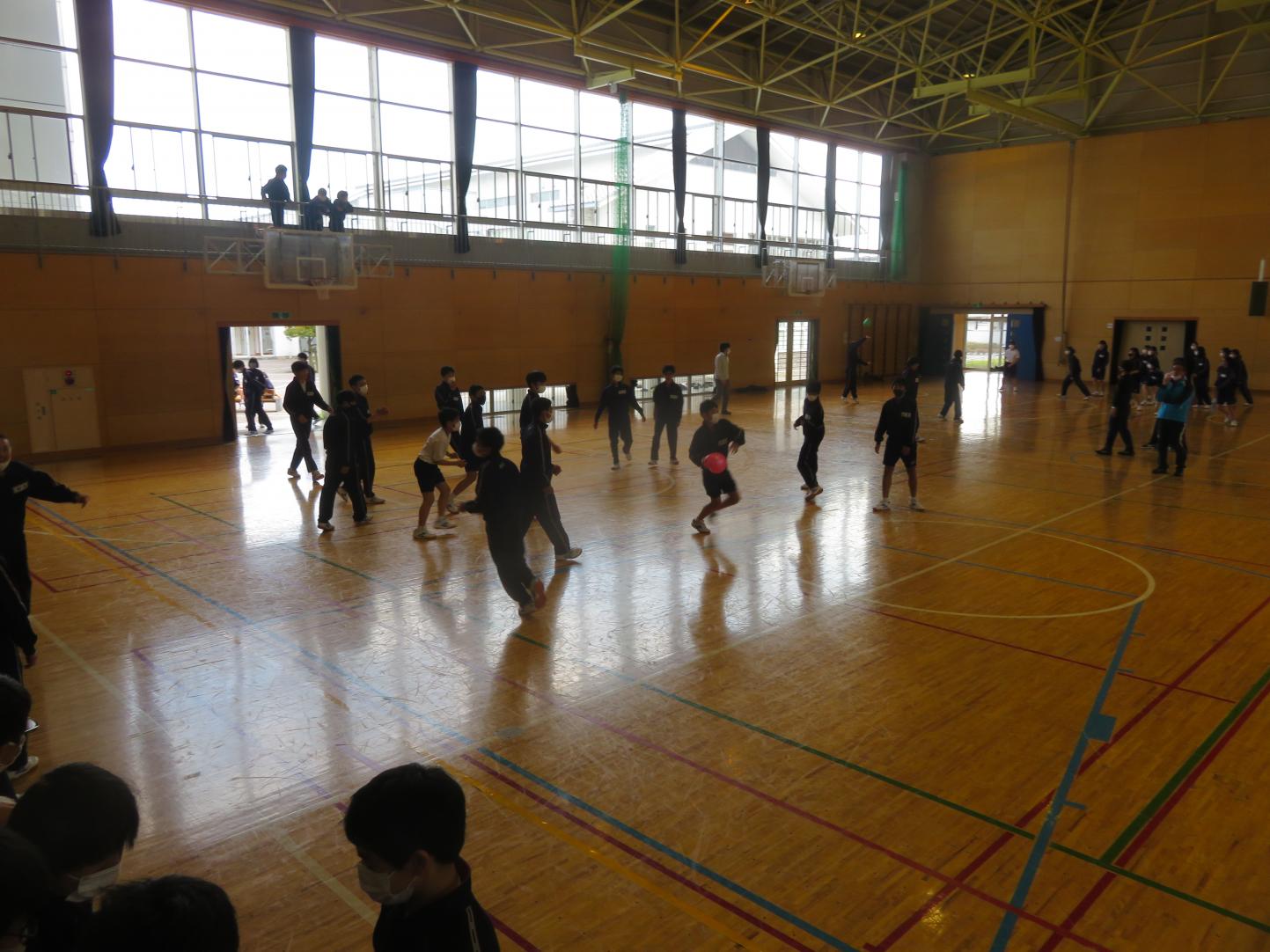 IMG_2799 IMG_2799