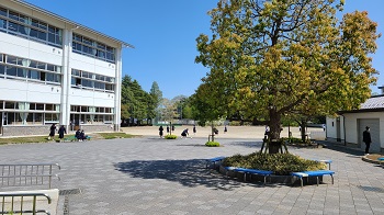20210415_130520 20210415_130520