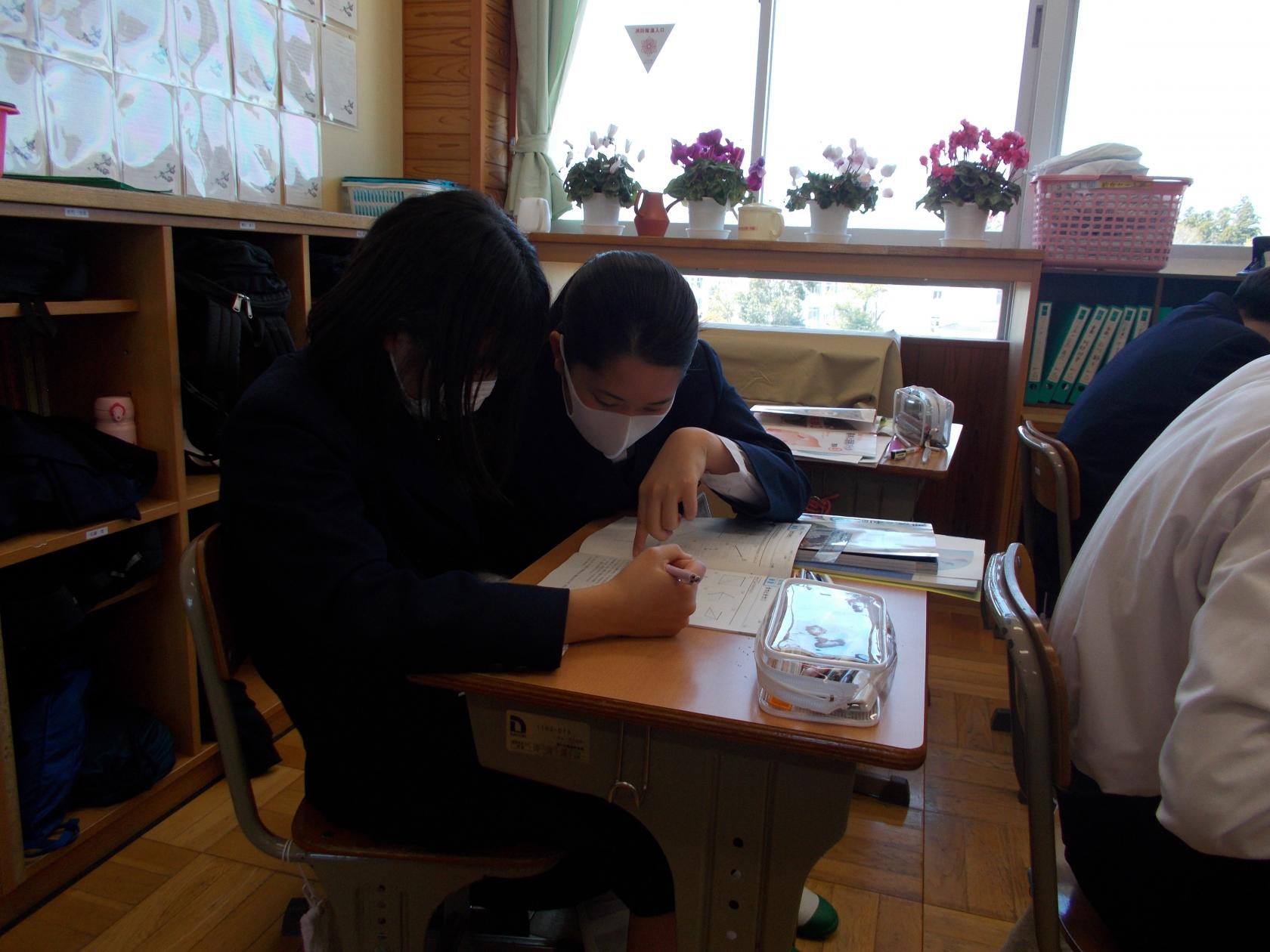 DSCN2393 DSCN2393