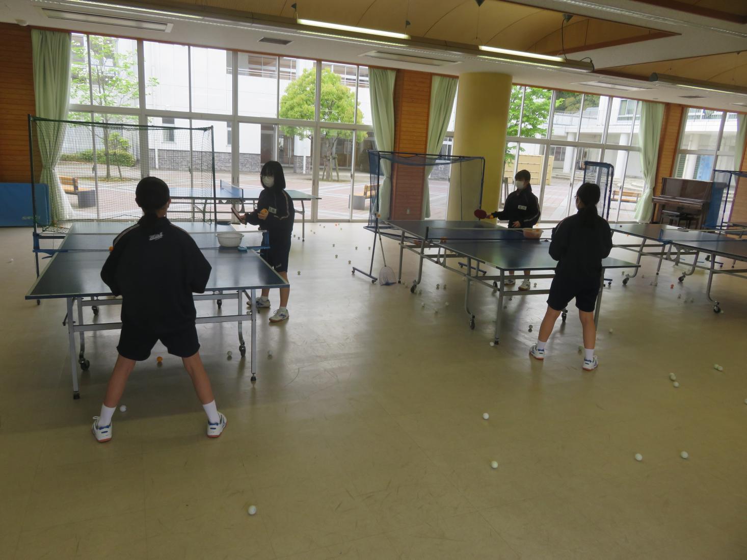 IMG_3353 IMG_3353