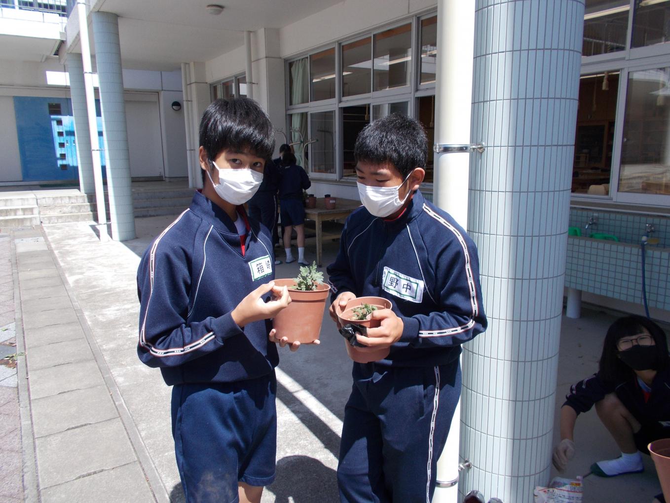 DSCN2419