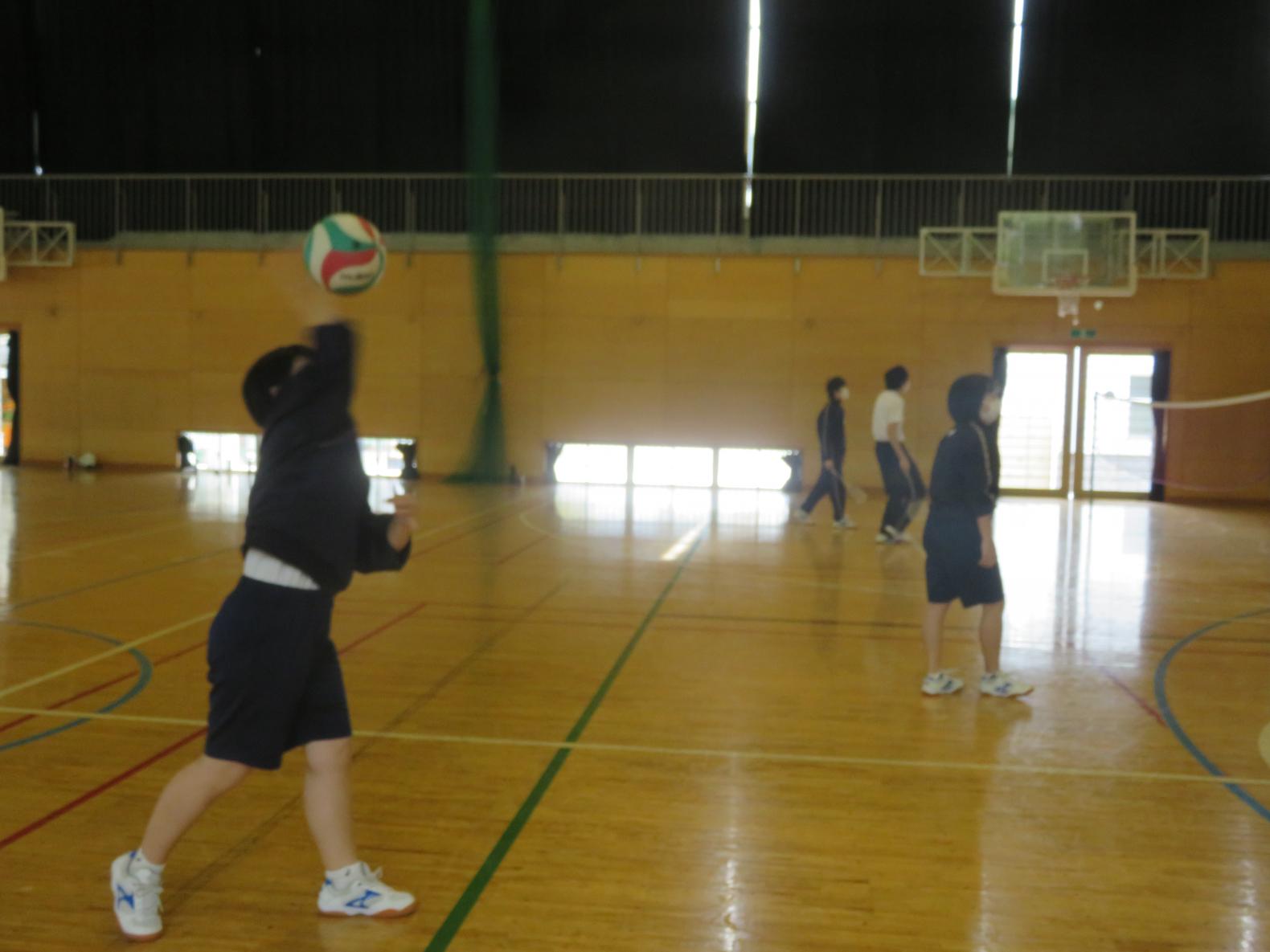 IMG_6237 IMG_6237