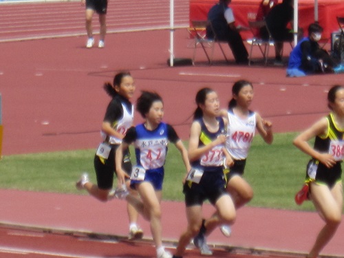 IMG_2589 IMG_2589