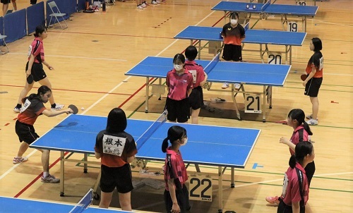 女卓3 女卓3