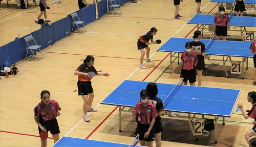 女卓7 女卓7