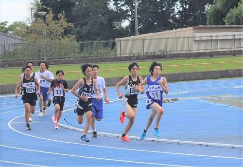 image4 image4
