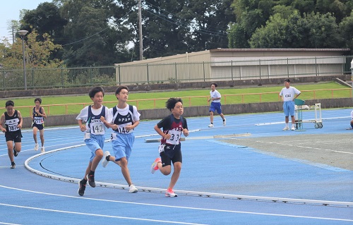 image5 image5