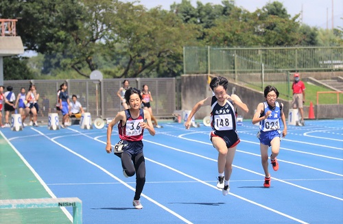 image10 image10