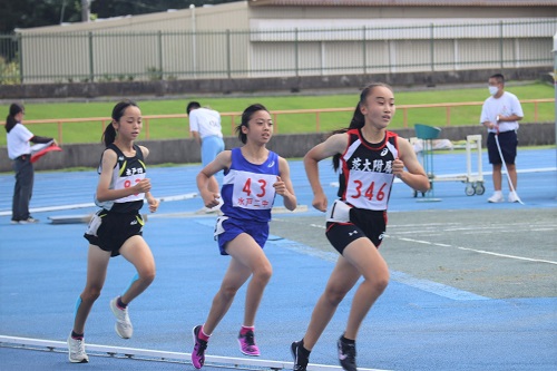 image6 image6