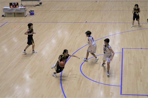 image6 image6
