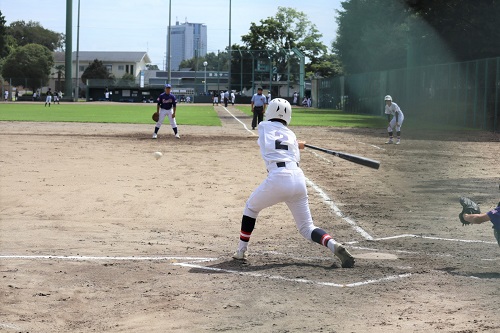 image11 image11