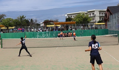 image4 image4